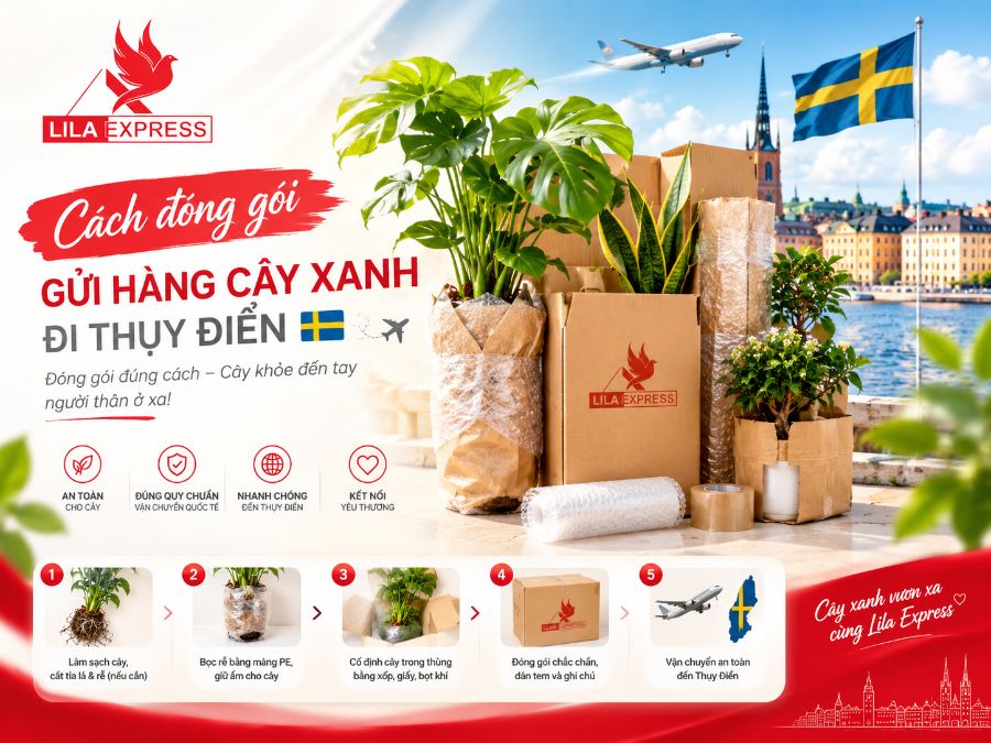 Gửi Cây Xanh Đi Thụy Điển & EU Tại Nhà Lila Express